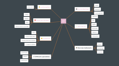 Mind Map: IST