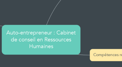 Mind Map: Auto-entrepreneur : Cabinet de conseil en Ressources Humaines