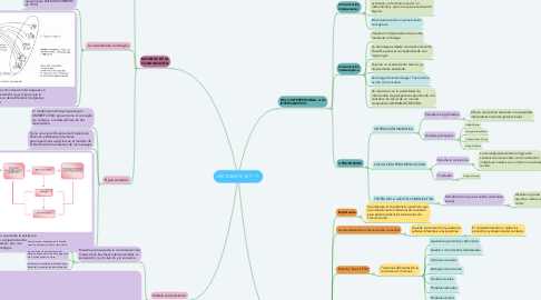 Mind Map: LECTURAS 9, 10 Y 11.