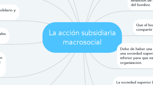 Mind Map: La acción subsidiaria macrosocial