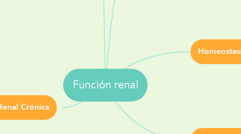Mind Map: Función renal