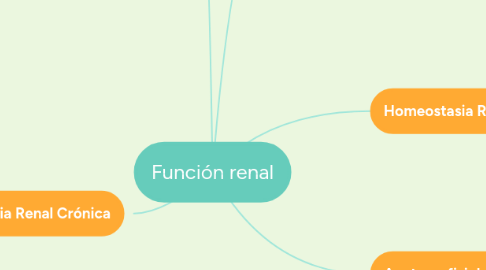 Mind Map: Función renal