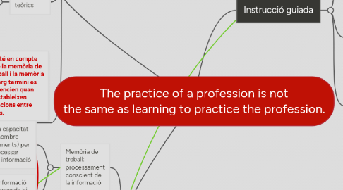 Mind Map: The practice of a profession is not the same as learning to practice the profession.