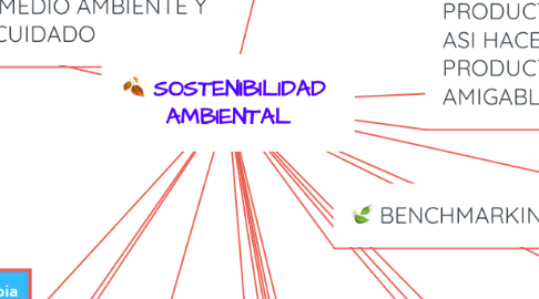 Mind Map: SOSTENIBILIDAD  AMBIENTAL