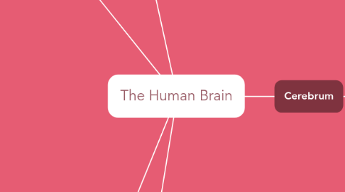 Mind Map: The Human Brain