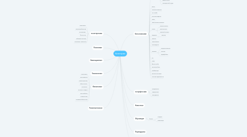 Mind Map: Категории