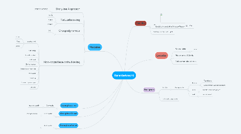 Mind Map: Karakterkracht