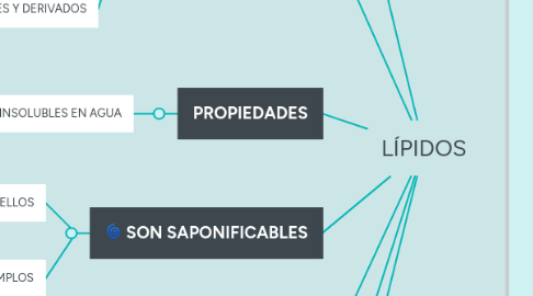 Mind Map: LÍPIDOS