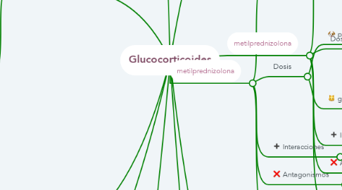 Mind Map: Glucocorticoides