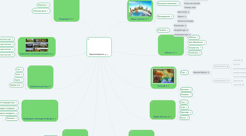 Mind Map: Карпатський регіон