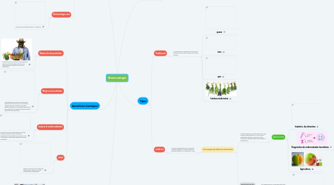 Mind Map: Biotecnología