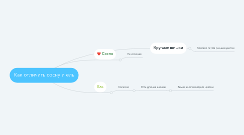 Mind Map: Как отличить сосну и ель