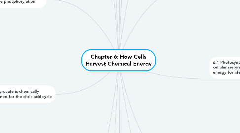 Mind Map: Chapter 6: How Cells Harvest Chemical Energy