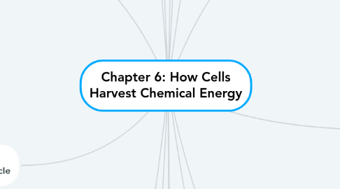 Mind Map: Chapter 6: How Cells Harvest Chemical Energy