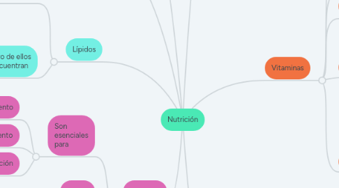 Mind Map: Nutrición