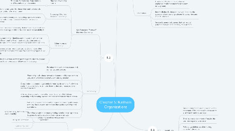 Mind Map: Chapter 5: Business Organizations