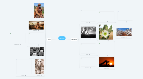 Mind Map: SERTÃO