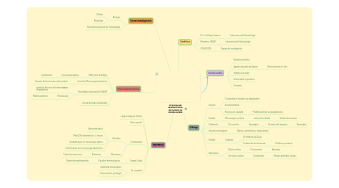 Mind Map: El proceso de descubrimiento del nucléolo de Giardia Lamblia