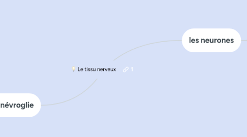 Mind Map: Le tissu nerveux