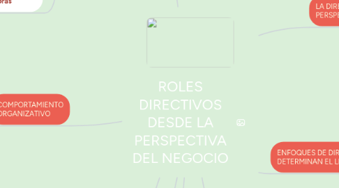 Mind Map: ROLES DIRECTIVOS DESDE LA PERSPECTIVA DEL NEGOCIO