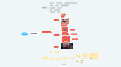 Mind Map: BIOETICA