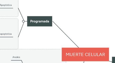 Mind Map: MUERTE CELULAR