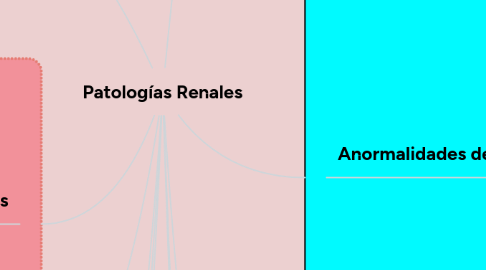 Mind Map: Patologías Renales