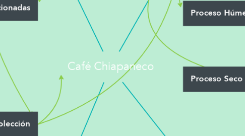 Mind Map: Café Chiapaneco