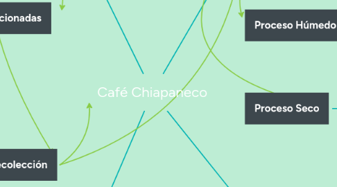 Mind Map: Café Chiapaneco