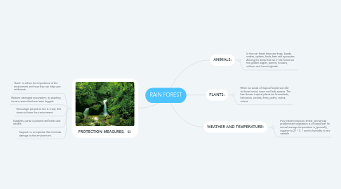 Mind Map: RAIN FOREST