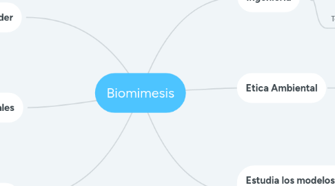 Mind Map: Biomimesis