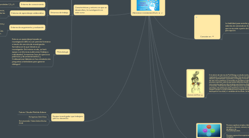 Mind Map: PROCESO COGNOSCITIVO