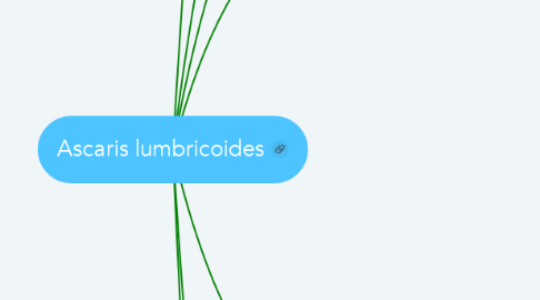 Mind Map: Ascaris lumbricoides
