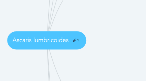 Mind Map: Ascaris lumbricoides