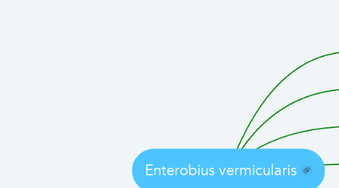Mind Map: Enterobius vermicularis