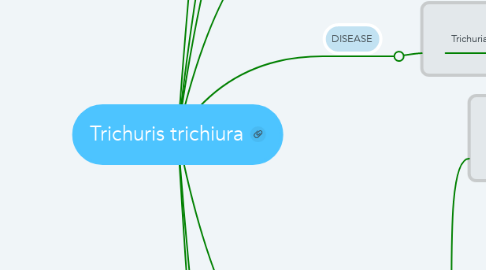 Mind Map: Trichuris trichiura