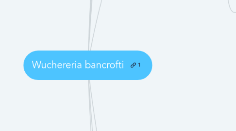 Mind Map: Wuchereria bancrofti