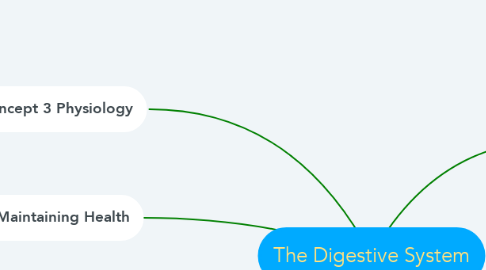 Mind Map: The Digestive System