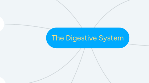 Mind Map: The Digestive System