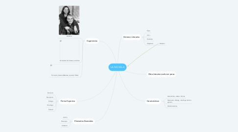 Mind Map: LA NOVELA