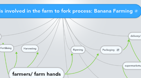Mind Map: What is involved in the farm to fork process: Banana Farming