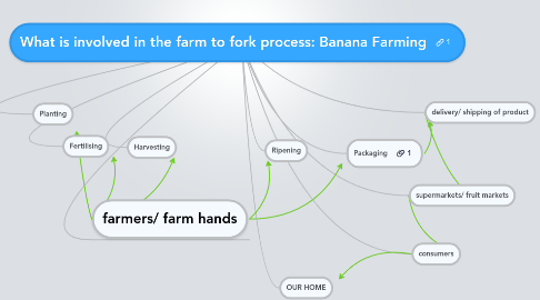 Mind Map: What is involved in the farm to fork process: Banana Farming