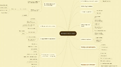 Mind Map: IMPORT PROCESS 2