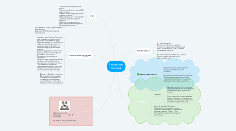 Mind Map: Автошкола Самара