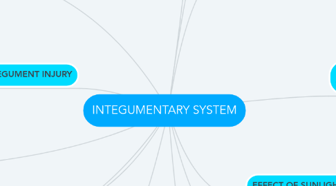 Mind Map: INTEGUMENTARY SYSTEM