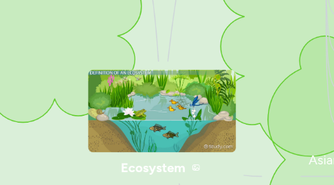 Mind Map: Ecosystem