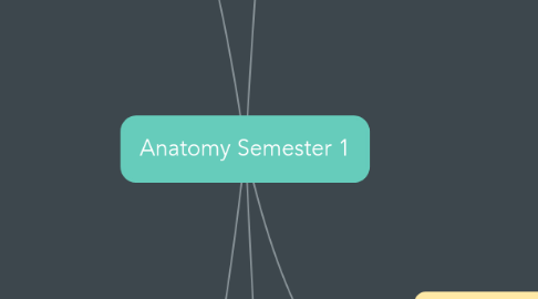 Mind Map: Anatomy Semester 1