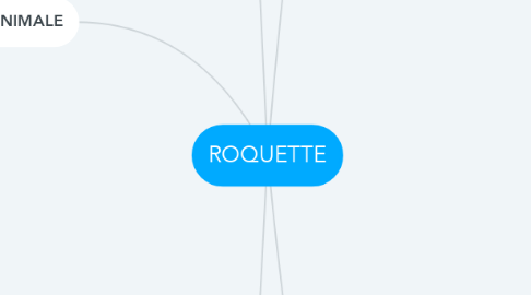 Mind Map: ROQUETTE
