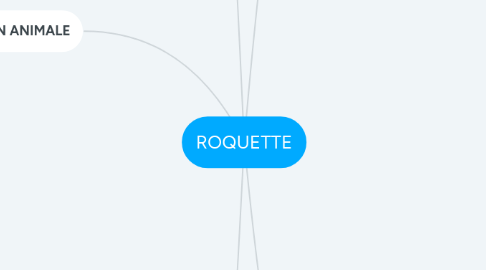 Mind Map: ROQUETTE