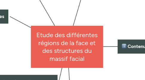 Mind Map: Etude des différentes régions de la face et des structures du massif facial